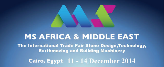 msAfrica2014