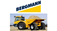 Bergmann