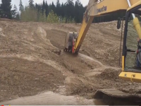 VIDEO: escavatore salva cerbiatto dal fango