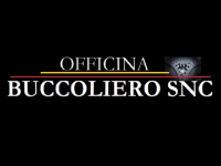 Buccoliero snc: ripara i motori elettronici CAT di ultima generazione