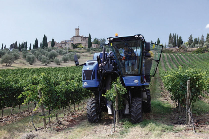 banfi-eco-braud-vendemmia