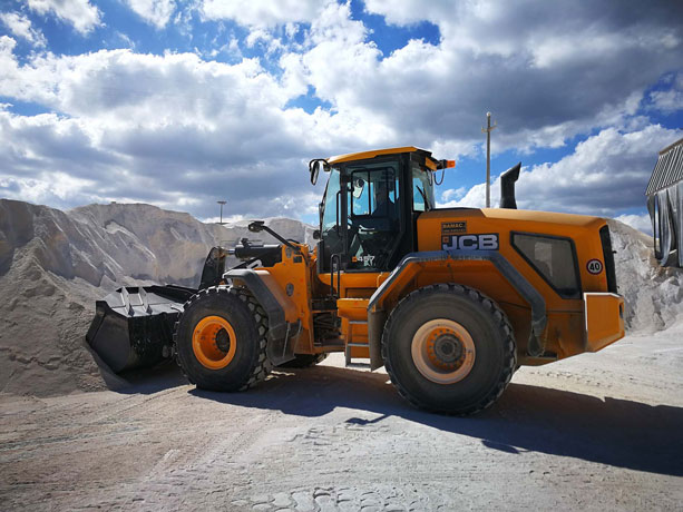 JCB-457-Di-Pinto-Bisceglie JCB-457-Di-Pinto-Bisceglie