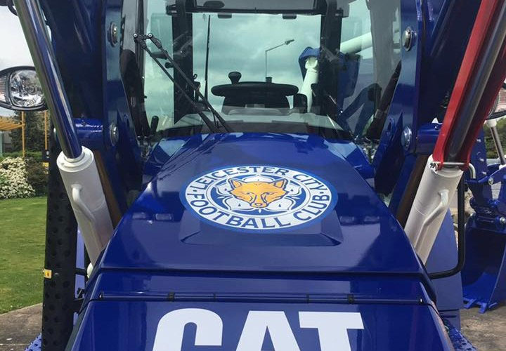 blu-cat-foxes blu-cat-foxes