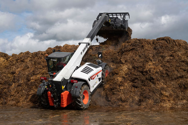 bobcat-TL43 bobcat-TL43