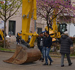 Noleggio macchine movimento terra e attrezzature