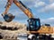 Case WX218