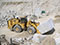 Caterpillar 988K Movimentazione Blocchi