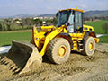 Pale Gommate Jcb