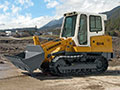 Pale Cingolate Liebherr
